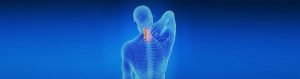 Cervical Exercises - exercise sheet 7 of 7