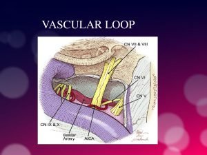Arterial Loops - clinical image 3 of 3